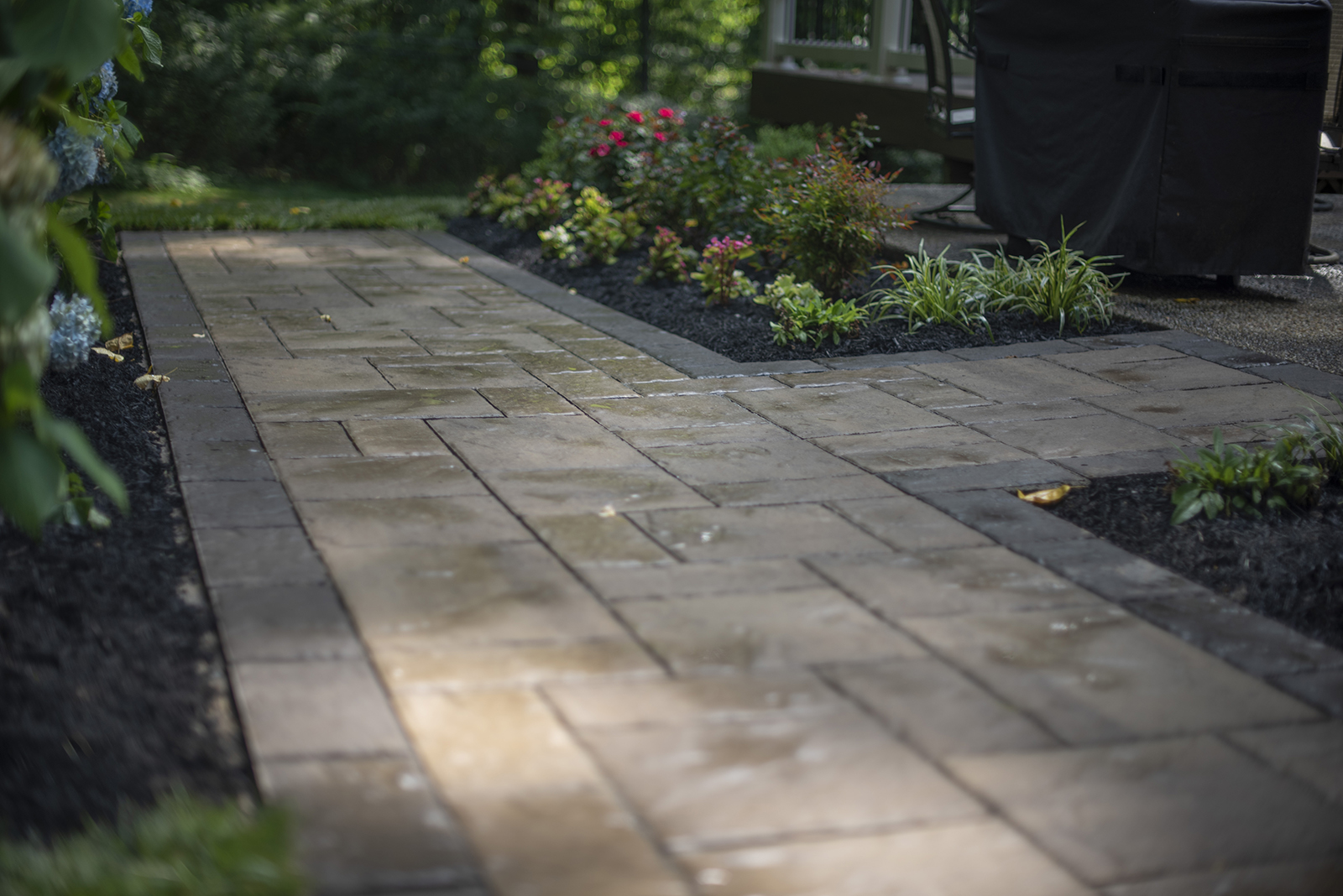R-Walkway + Plantings- service R-Walkway + Plantings- service